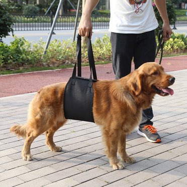 Dog Lifting Harness, Easy To Use Black Dog Dog Support, 4 Sizes For Dogs For Canines Aid