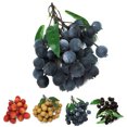 thumbnail image 2 of Faux Fruits Artificiels Réalistes Créatifs Décoratifs Faux Fruits Accessoire de Photographie, 2 of 7