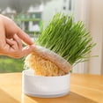thumbnail image 1 of Plateau de Démarrage de Semis Hydroponique Kit de Culture de Plantes d'Intérieur Contenant de Propagation en Plastique Plateau de Germination Réutilisable pour Micro-Pousses Herbe de Blé Cuisine Jardin Balcon Usage Maison Bureau Unité Unique, 1 of 3