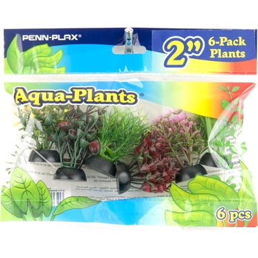 Penn-Plax Aqua-Plants Décorations d'Aquarium - Lot de 6