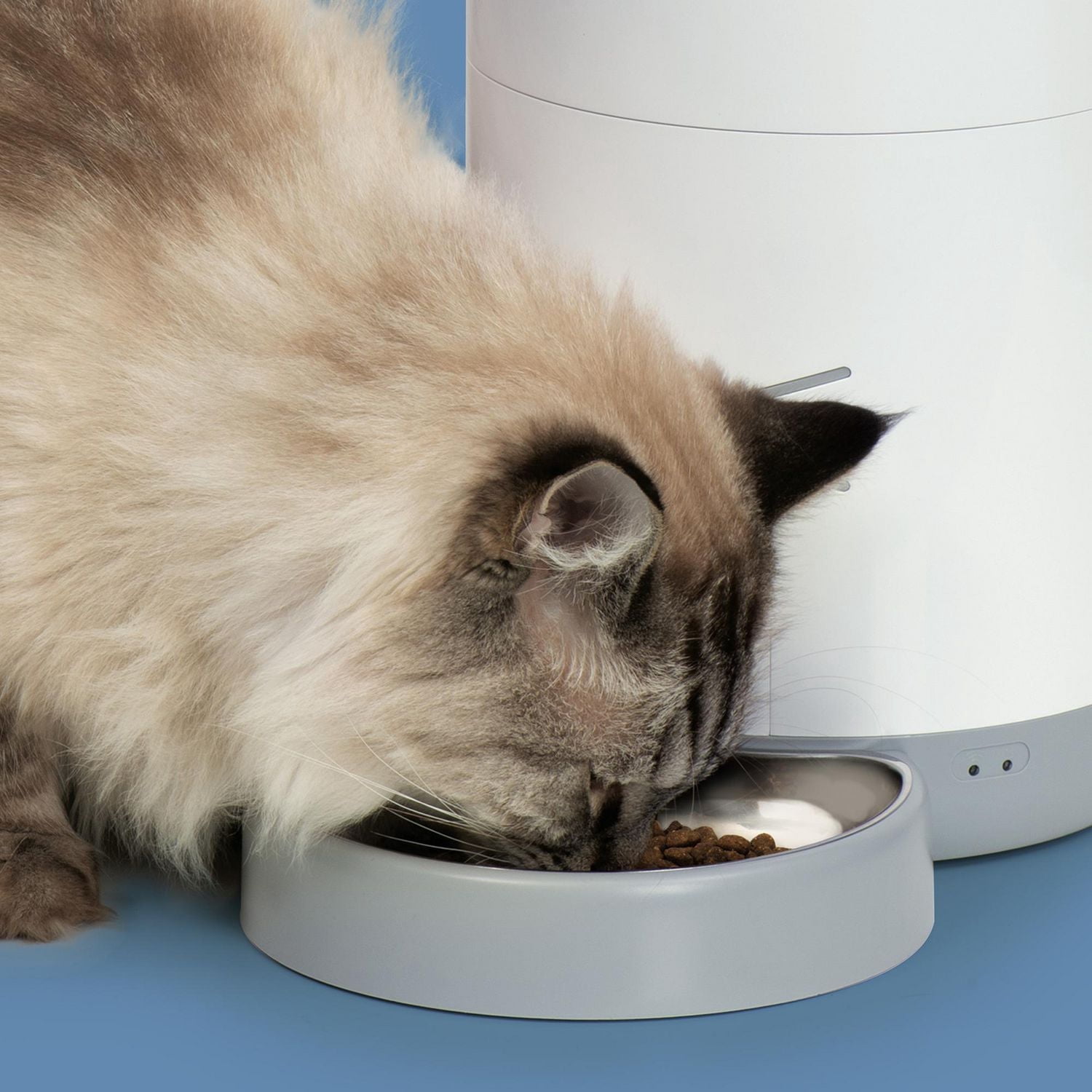 Catit PIXI Distributeur Automatique Intelligent pour Chats avec Application de Contrôle à Distance