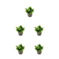 thumbnail image 2 of Decodeary Green Eco-friendly Artificial Money Tree In Pot Long-lasting Durability Realistic Appearance new blue babysbreath 5Set, 2 of 6