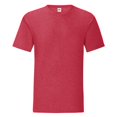 thumbnail image 1 of Fruit Of The Loom Mens Iconic T-Shirt (Pack Of 5), 1 of 3