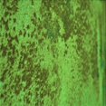 thumbnail image 1 of Ahgly Company Machine Washable Indoor Square Transitional Green Area Rugs, 4' Square, 1 of 7