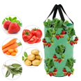 thumbnail image 3 of AMERTEER Strawberry Planting Pot Container Plant Grow Bags Home Hanging Strawberry Planter Growing Bags, 3 of 9