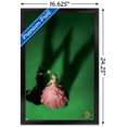 thumbnail image 2 of Wicked - Fiche d'introduction, 2 of 4