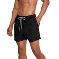 thumbnail image 2 of Speedo Men's Adult Roofer 16" Solid Swim Short - Speedo Black, Size: XL, 2 of 3