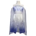 thumbnail image 1 of Disney Frozen 2 Elsa the Snow Queen Dress, 1 of 5