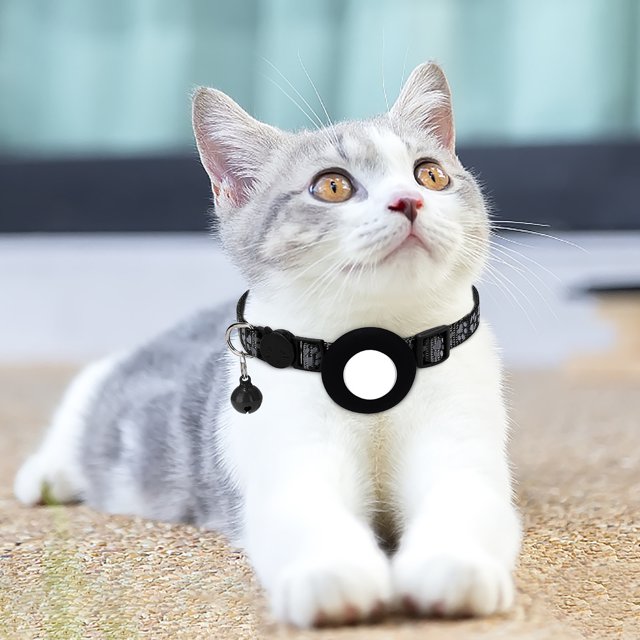CEHVOM Collier avec Pendentif d'Adresse de Collier Réfléchissant avec Dégagement de Film