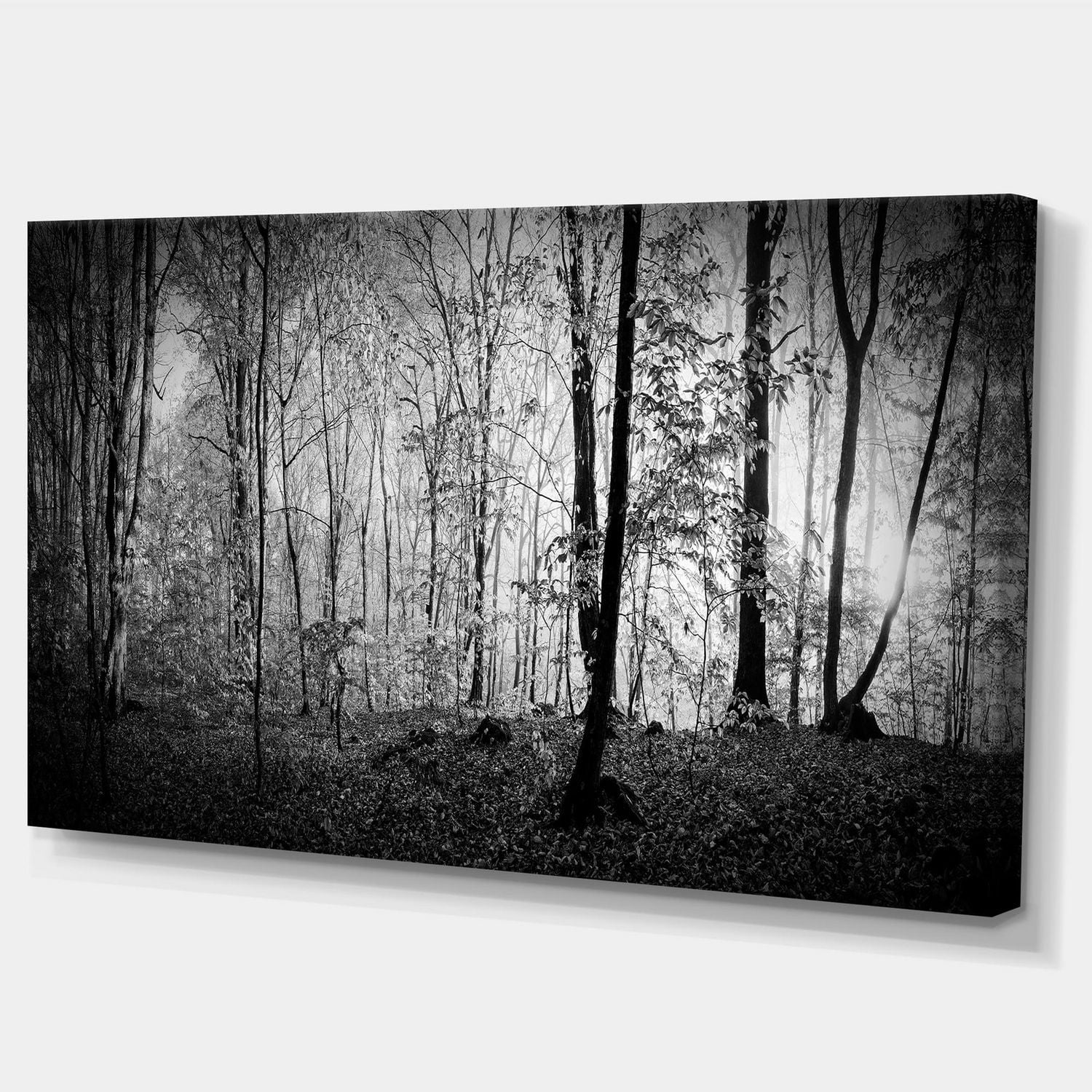 Designart Beau panorama du matin de la forêt Art mural sur toile