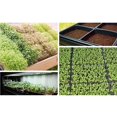 thumbnail image 1 of Baohd 2pcs Seedling Tray Wear-resistant Seed Starters Mesh Bottom Seeds Basin Seedlings Box for Microgreens Soil Blocks Wheatgrass, 1 of 7
