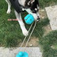 thumbnail image 4 of Chien de Compagnie TPR Ventouse Mâche Molaires et Nettoie les Dents Interactive Fuite Jouet, 4 of 9