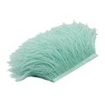 thumbnail image 3 of tredstone 1 Yard Dyed Ostrich Feather Fringe Trim Ribbon Embellishment Mint green, 3 of 8