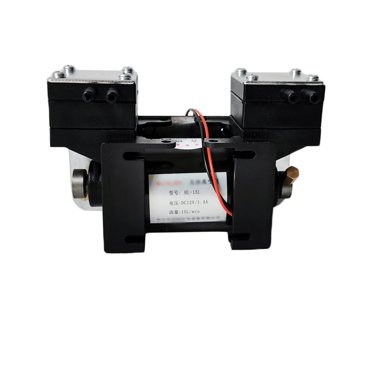 12V/220 High Positive And Negative Pressure Miniature Vacuum Pump, Large Flow Beauty Instrument Mute Double-head Diaphragm Pump