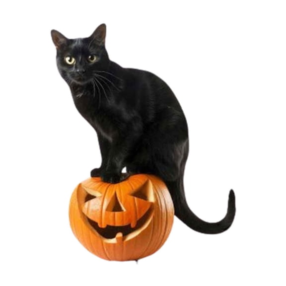Rbaofujie Halloween Patio Ground Plug Garden Witch Hat Kitty Holiday Decor Insert Halloween Kitty with Witch Hat and Pumpkin Halloween Decor