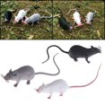 thumbnail image 1 of 1 Pce Figurines Modèle Mouse Rats en Plastique pour Enfants Farces et Attrapes Jouet, 1 of 8
