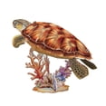 thumbnail image 4 of National Geographic 3D Puzzle: Sea Turtle, 4 of 5