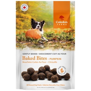 Caledon Farms all Natural Pumpkin Baked Bites 265g Plant Based Dog Treats