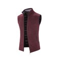 thumbnail image 3 of Leutsin 2021 Automne et Hiver Plus Veste en Molleton Chandail pour Homme Col Montant Cardigan, 3 of 4