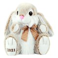thumbnail image 1 of Easter Large Hopster Bunny 2021,Brown, 1 of 3