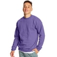 thumbnail image 1 of Hanes Mens EcoSmart Fleece Crewneck Sweatshirt, 3XL, Purple, 1 of 6