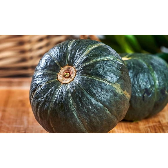 GSDWIUEW Baby Pumpkin 20 Seeds – Beibei Kabocha – , Sweet & Nutty Flavor, High-Yield, Easy to Grow for Home Garden & Farm