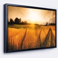 thumbnail image 1 of Designart - Champ de Blé au Coucher du Soleil Panorama - Photographie Encadrée Impression d'Art sur Toile, 1 of 4