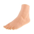 thumbnail image 1 of pitrice Foot Model Mannequin Foot Holder Foot Display Sock for Photography Prop Male Right skin Female Left, 1 of 6