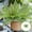 Green Size F2, variant on ZZkhGO Realistic Artificial Grass, Weatherproof Plastic Greenery for Hanging Flower Pot, Faux Outdoor Decor for Garden Window Box Office Terrace, Green