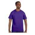 thumbnail image 1 of Hanes Tagless Short Sleeve T-Shirt, Style 5250, 1 of 1