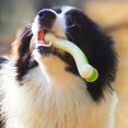 thumbnail image 3 of Pet Teething Toy Training Bite Resistant Practical Bone Shape Pet Dog Puppy Teeth Molar Toy, 3 of 5