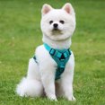 thumbnail image 4 of PEONAVET Polyester pets leash Pet Leash Pet Sleeveless Garment Style Braces Reflective Breathable Dog Leash Cats Leash Suitable For Daily Cats And Dog Walking, 4 of 6