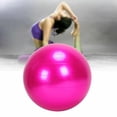 thumbnail image 2 of Exercise Gym Yoga Ball Fitness Pregnancy Birthing Burst + Pump 75Cm, 2 of 3
