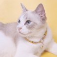 thumbnail image 3 of Collier de Chien Décoratif Accrocheur Joli Chien Chat Collier Pendentif, 3 of 5