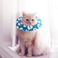 thumbnail image 4 of Collier de Protection pour Animaux de Compagnie, Collier de Récupération pour Chat, Collier Anti-Morsure pour Animal Mignon, Collier Réglable pour Chat, Collier en Coton Doux pour la Cicatrisation des Plaies après une Chirurgie pour Animaux de Compagnie (Bleu), XXS, 4 of 4