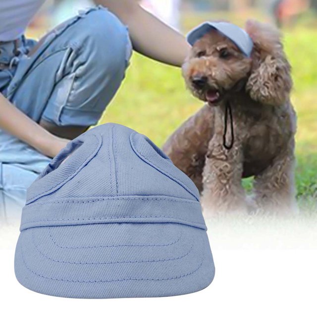 Chien, Animal de Compagnie, Chien de Compagnie Chat Baseball Extérieur Mignon pour Animal de Compagnie Chien Chat