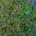 thumbnail image 4 of Novelty Lights 4x6 Outdoor Net Lights, 100 Multicolor LEDs, Green Wire, 4 of 5