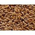 thumbnail image 1 of Organic Hard Wheat Kernels, 1 of 2