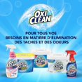 thumbnail image 3 of OxiClean All&#2013265922??Purpose Stain & ml 636mL, 3 of 4