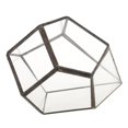 thumbnail image 4 of Jardinière de Terrarium Géométrique en Verre Fougère, 4 of 8