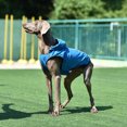 thumbnail image 4 of letairis Adjustable Hood Poncho For Small Medium Large Dogs Easy To Put On Dog Stylish And Dry High Blue M, 4 of 6