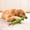 Green 4R4, variant on Rvkxad Dog Chew Toy for Aggressive Chewers, Tooth Cleaning Molar Training Toy, Pet Dental Health Chewer, Canine Teeth Cleaner