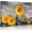 sunflower01, variant on Bless This Kitchen Wall Art Farmhouse Wall Decor Rustic Family Canvas Painting Inspirational Quotes Sunflower Picture Be Kind Be Honest Be Happy Prints Artwork for Dining Room Home Decorations 12x16"