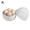 4Egg, variant on SharkTRUE Hard Boiled Egg Cooker, Cook Eggs in Minutes, Microwave Egg Maker, Microwave Hardboiled Egg Maker, Microwave Egg Cooker for Hard Boiled Eggs, Microwave Egg Boiler Cooker
