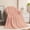 Pink#4, variant on Double-Sided Velvet Fleece Blanket, 39x59 Inches, Ultra Soft and Warm, Machine Washable, All-Season Cozy Throw for Couch