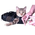 thumbnail image 1 of RYRDWP Sac de Contention pour Chat à Mailles de Bain Robuste pour Ongles Griffes, 1 of 8