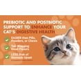 thumbnail image 3 of Liquid-Vet® Feline Digestive Wellness Pre & Postbiotic Supplement, Chicken Flavor, 8 fl oz / 237 mL, 3 of 10