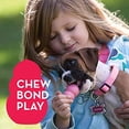 thumbnail image 3 of KONG Puppy Classic Teething Treat Dispensing Chew Dog Toy, Small (3 Pack), 3 of 5