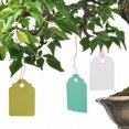 thumbnail image 1 of Plant Marker,300Pcs Reusable Waterproof PVC Garden Accessories Plant Label Remarkable Clarity, 1 of 14