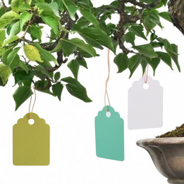 Plant Marker,300Pcs Reusable Waterproof PVC Garden Accessories Plant Label Remarkable Clarity